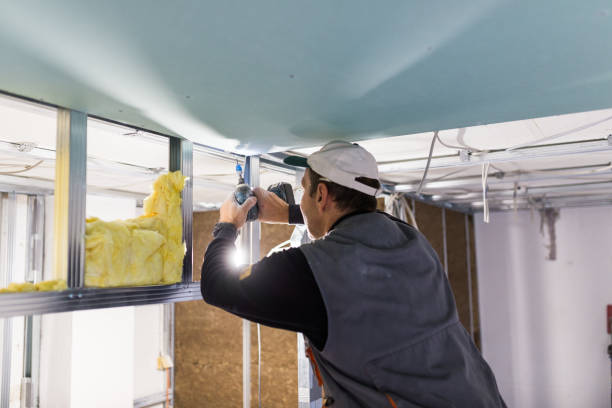 Best Types of Insulation in Sangaree, SC