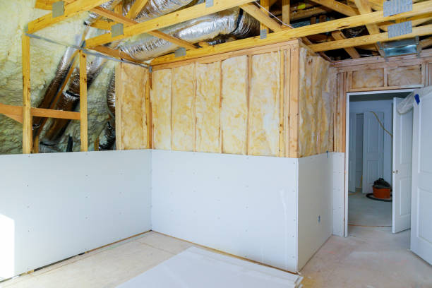 Best Residential Insulation in Sangaree, SC