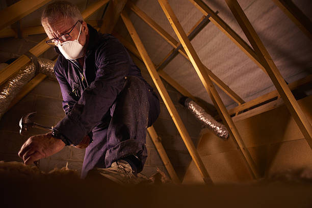 Best Insulation for Specific Applications in Sangaree, SC